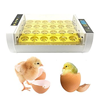 WIDEN 24 Egg Incubator Hatcher Digital Clear Temperature Control Chicken Duck Egg Bird Goose Poultry Hatch Hatcher